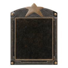Legends of Fame Star Blank Resin Plaque - Trophies