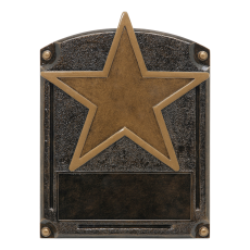 Legends of Fame Blank Star Resin Plaque - Trophies