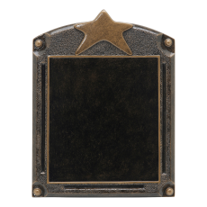 Legends of Fame Star Blank Resin Plaque - Trophies