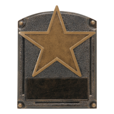 Legends of Fame Blank Star Resin Plaque - Trophies